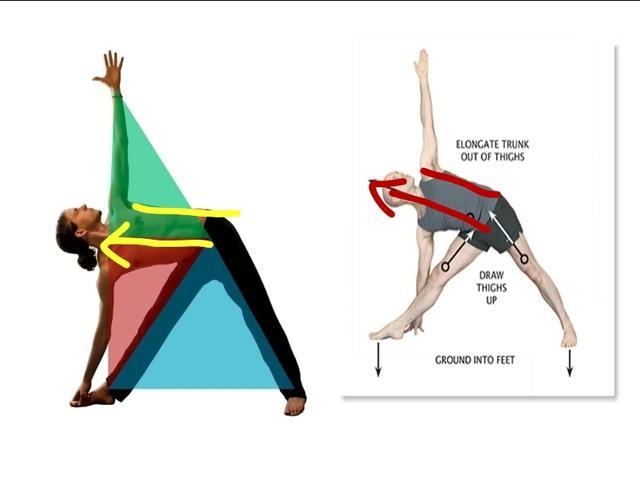 瑜伽三角式的动作要领是什么，瑜伽三角式的要点（都说瑜伽三角式可以练出小蛮腰和马甲线）