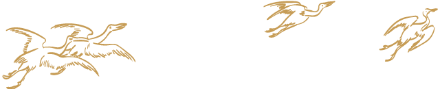 新鲜槟榔怎么吃，新鲜槟榔怎么吃好吃（jio颗槟榔直个飘”阿华大虾来收味）