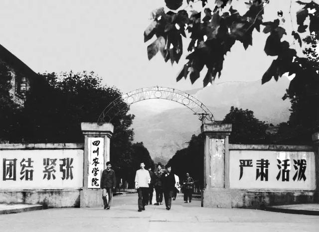 四川理工学院是几本，四川轻化工大学好不好是几本是211吗（四川有哪些大学坚守在地级市）