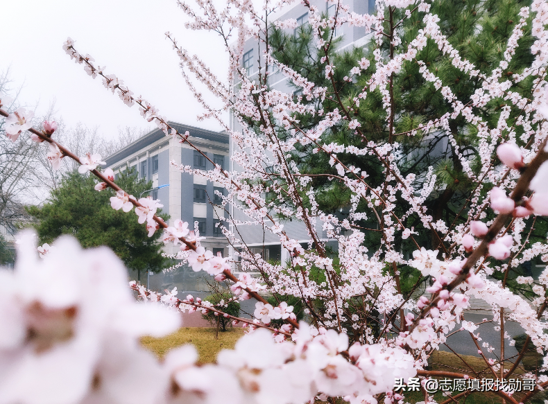 国防七子实力排名(国防科技大学为什么不是国防七子)