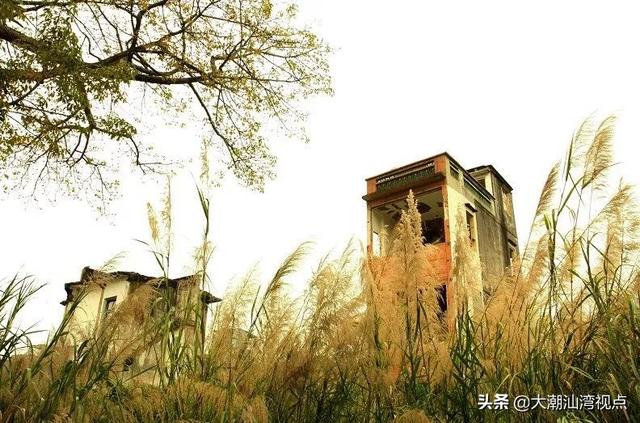 榕城是哪个城市，蓉城是哪个城市（来揭阳榕城，这几个点值得一去）