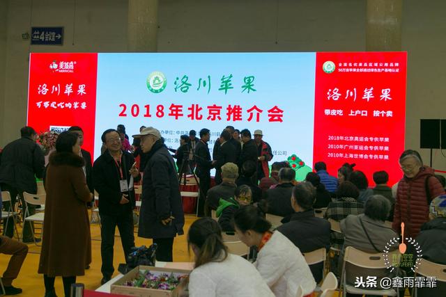 菊苣怎么读是什么意思，菊苣怎么读（这百种水果不要说吃过）