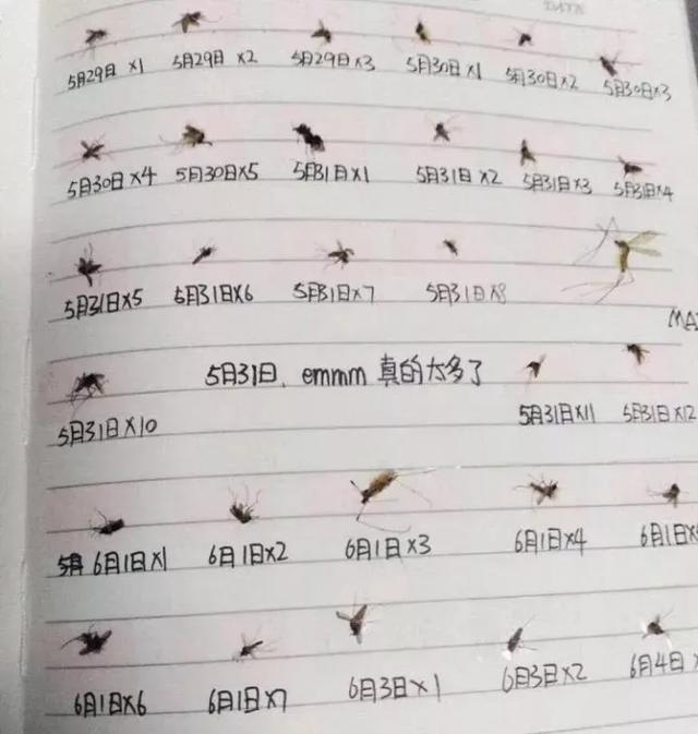 家有宝宝怎么驱蚊，家有宝宝驱蚊小妙招（真正有效的方法，只有这几种）