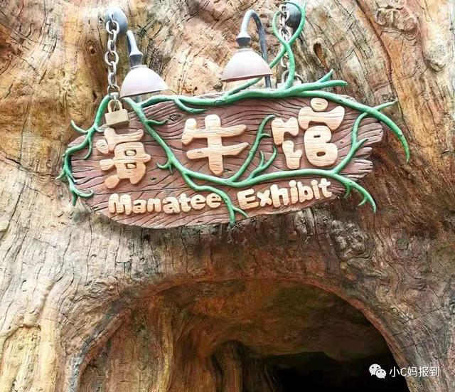 珠海长隆游玩攻略，珠海长隆游玩攻略图（带娃去珠海长隆该怎么玩）