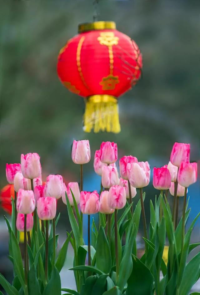 通货紧缩是什么意思，通缩是什么意思（通货紧缩的社会现状）