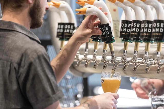 鹅岛ipa啤酒是来自哪里的，鹅岛啤酒原产地（精酿啤酒选购指南来帮你选）