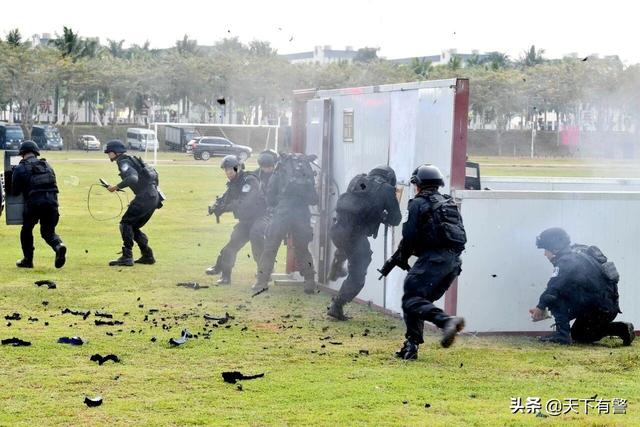 特警和武警有什么区别，武警和特警的区别有什么（特警比特种兵更专业）