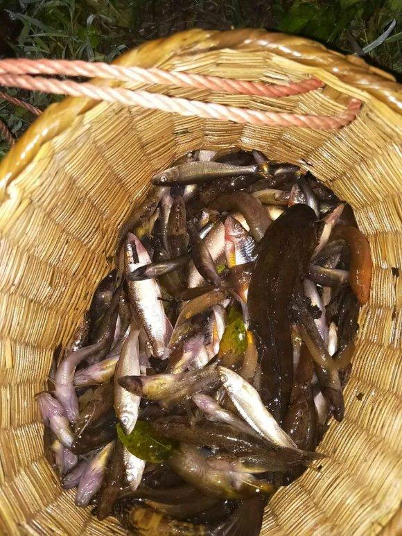 避暑季之福州鳝溪一游，福州鳝溪山泉水（这条小溪沟的鱼是我吃过最好吃的鱼没有之一）