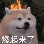 cpu睿频()