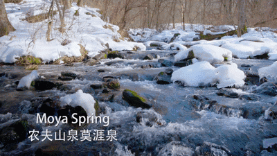 农夫山泉经典营销案例（一文看懂农夫山泉的营销策略）