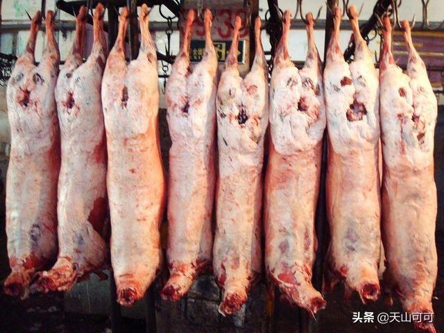 羊肉饺子馅的做法，羊肉馅饺子的做法最正宗的做法（用羊肉包饺子放姜吗）