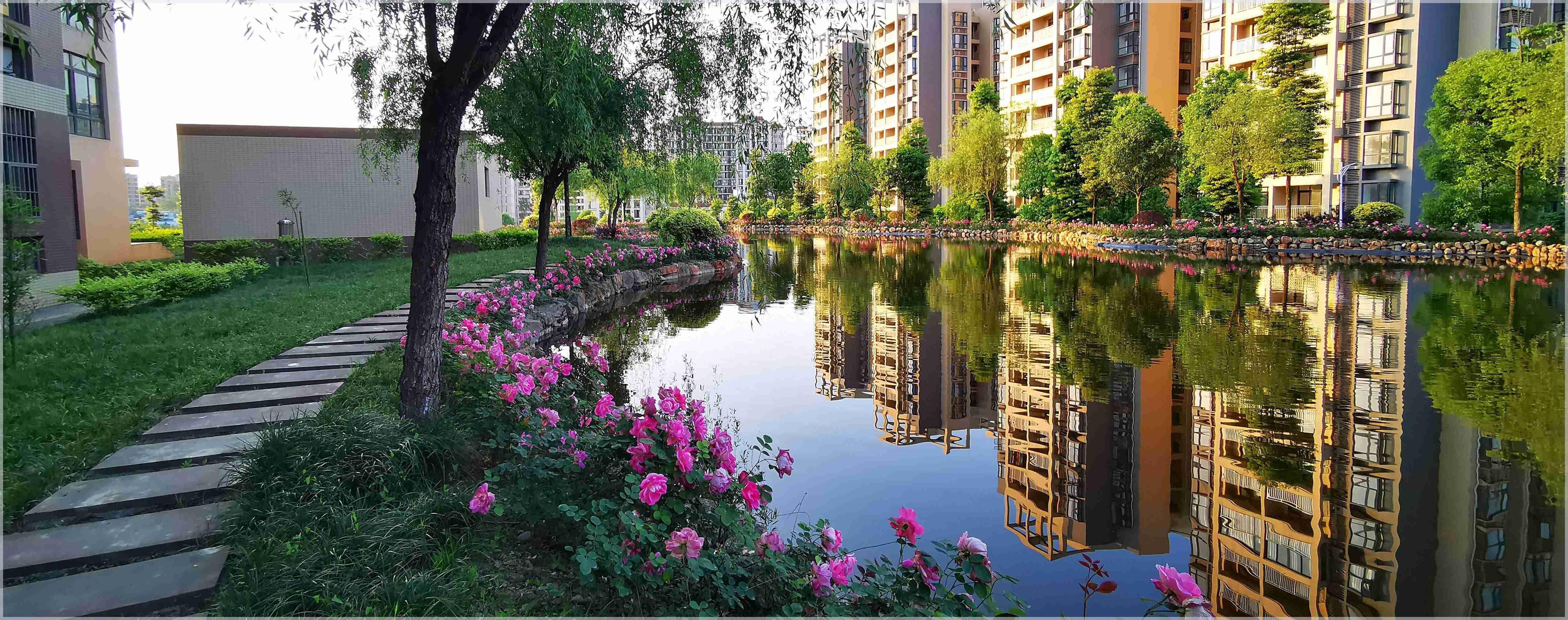 眉山私立学校教师招聘（四川工商学院专任教师招聘公告）