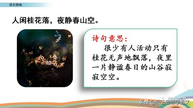 筛子的拼音，筛这个字拼音怎么读（《语文园地二》精讲+单元知识点+练习）