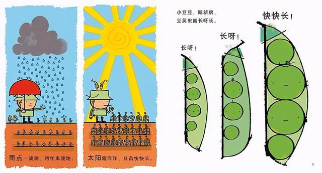 豆豆书籍封面，豆豆的不容易在哪里呢