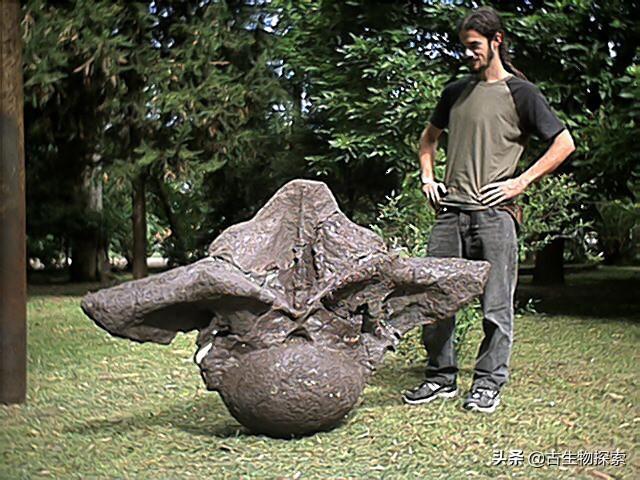 世界上有什么恐龙，世界上有几种恐龙（世界最大恐龙排行榜）