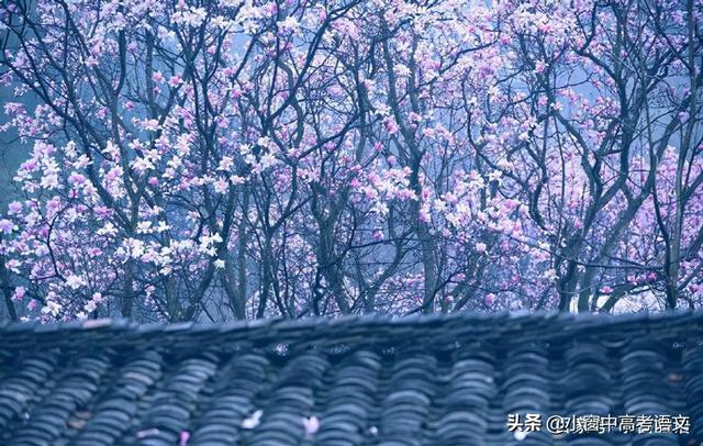 愿伯具言臣之不敢倍德也翻译，愿伯具言,臣之不敢倍德也翻译（120个文言实词汇编：第一辑）