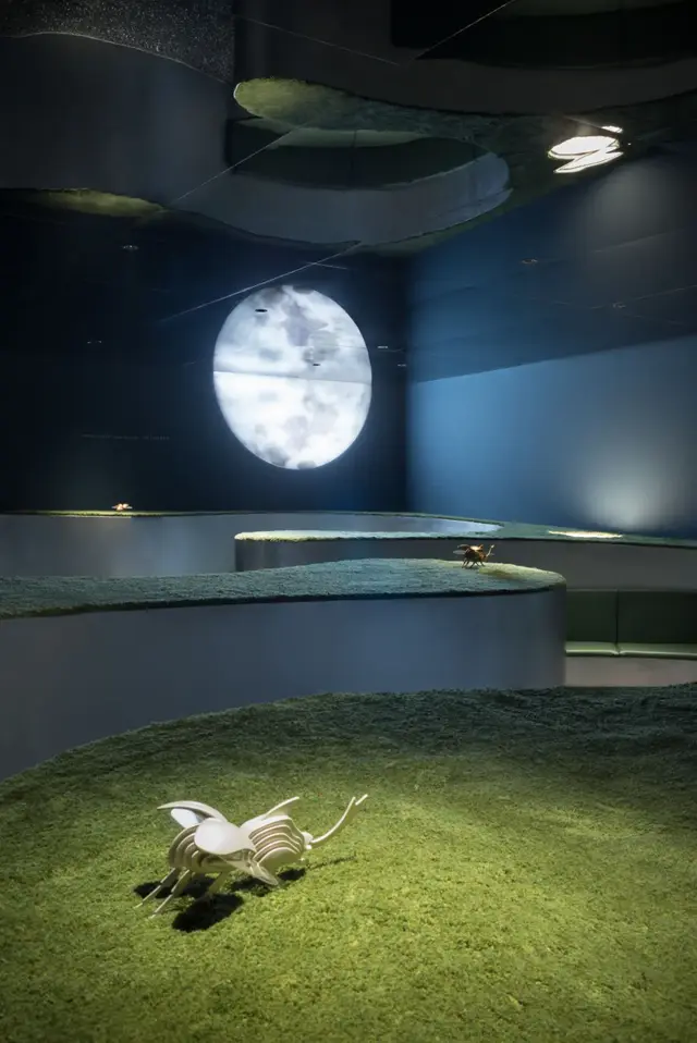 足疗店spa是什么意思，足浴店的SPA什么意思（颠覆你对足浴、SPA的认知）