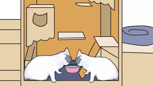 如何做一个定制猫窝，如何制作一个猫窝（看百度工程师研发的流浪猫智能猫窝）