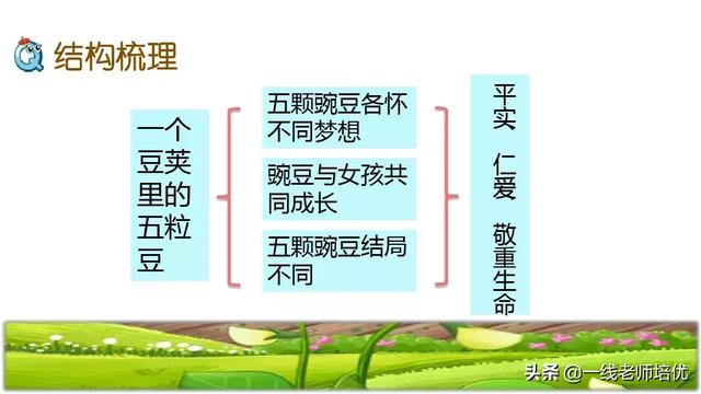 才华横溢的近义词，形容聪明才华横溢的成语有哪些（部编四年级上第5课《一个豆荚里的五粒豆》重点知识+课文讲解）