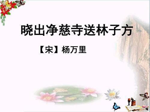 提字旁的字和组词，提字旁的字都有哪些（二年级语文下册第15课《古诗二首》字词解析）