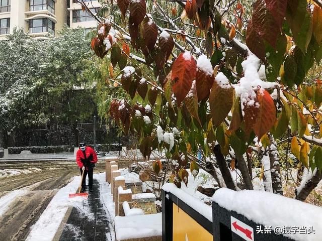 情侣唯美雪景图片，情侣唯美雪景图片真实（冬日初雪印象：一半冬雪）