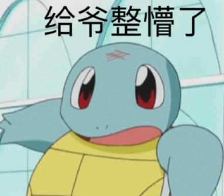 哆啦a梦.多啥b梦.网名，哆啦a梦.多啥b梦.微信昵称（神奇宝贝动画译名太多）