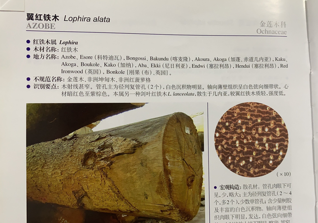 铁木和红铁木有什么区别，红木和红铁木的区别（采购的时候分清楚就不会掉坑了）