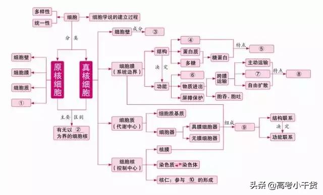 高中生物必修一思维导图，高中生物必修一全部思维导图（高中生物必修1思维导图）