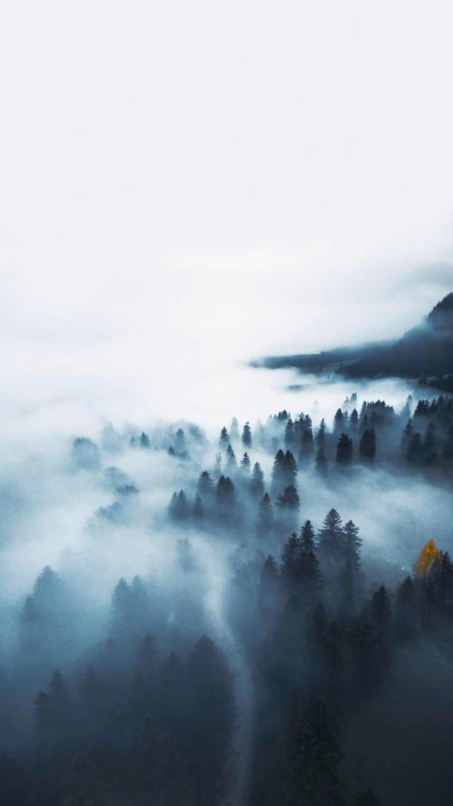 优质唯美壁纸，唯美好看壁纸（20张精选唯美壁纸图片）