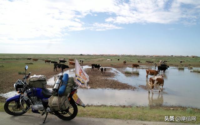 厦门铃木摩托车官网，厦门轻骑铃木摩托车官网（厦门铃木面面观系列报道<二>）
