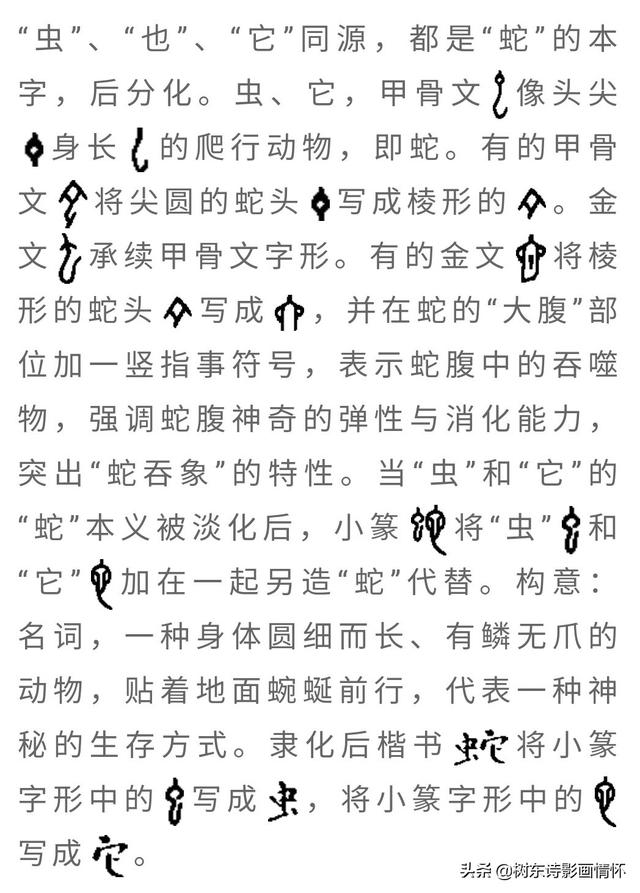 带蛇字的成语有什么，带蛇字的成语有什么意思（树东说文解字：“蛇”字的演变）