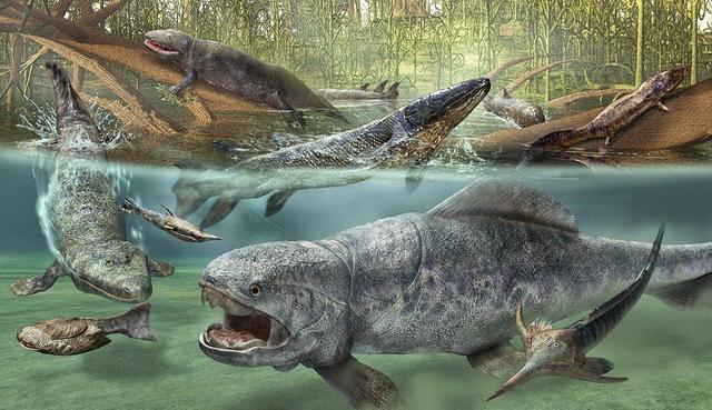 第六次生物大灭绝，地球正进入第六次生物大灭绝（5次生物大灭绝地球经历了什么）