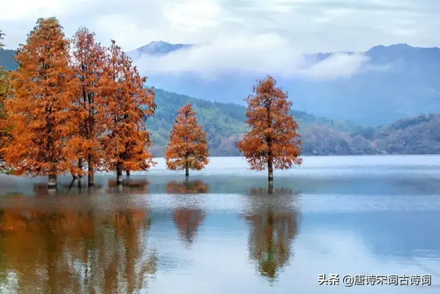 描写四季的古诗，描写秋天的诗句有什么（《唐诗三百首》中的四季）