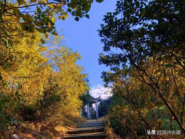 苍南10大名山，苍南的这十座名山，你都爬过吗