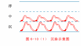 中医把脉入门必背口诀，把脉入门必背口诀（最全动图展示一目了然）