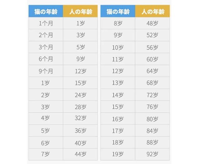 猫一岁相当于人的几岁，猫的一岁相当于人的几岁（附上最新年龄对照表）