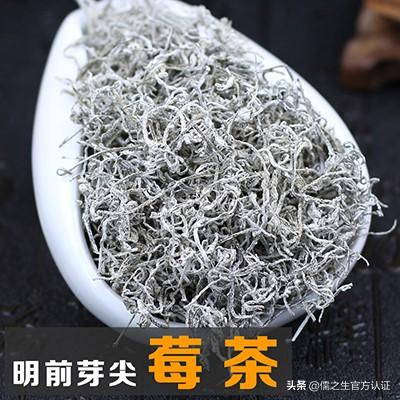 莓茶的副作用莓茶什么人不适合喝，张家界长寿村莓茶功效和作用你不知道吗