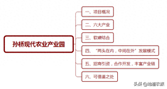规模化不是唯一出路，孙桥现代农业产业园如何将“小”做到第一