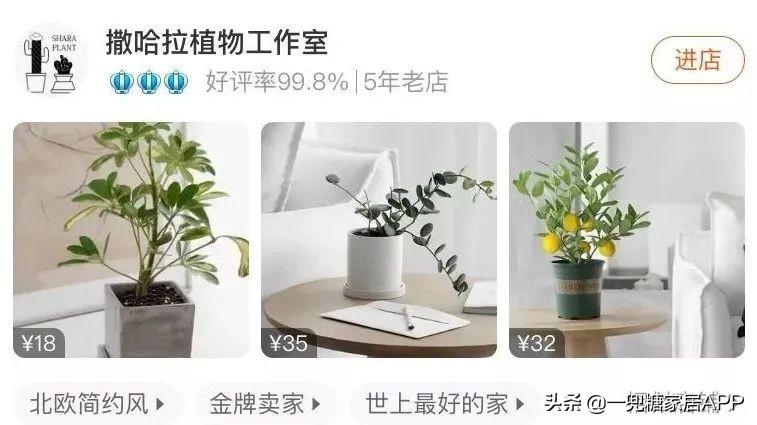 淘宝网花店(淘宝商城花卉市场)