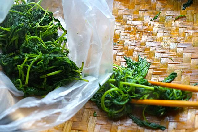煮艾草放碱还是小苏打，煮艾草放碱还是小苏打放碱好（教你三种艾草的储存方法）