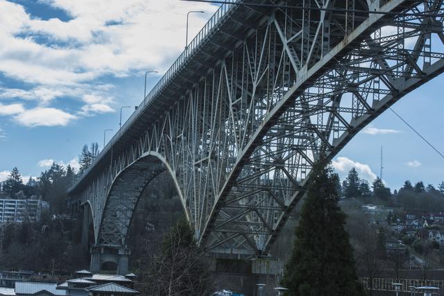有一种奇葩的节日叫日本的裸体节，日本的这个节究...，西雅图每年都举办全裸游行