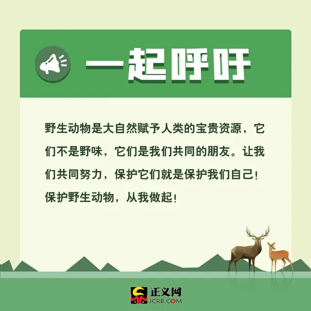 保护动物的方法，保护野生动物，你应该这样做