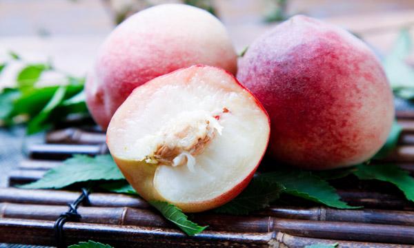 惠州有什么特产，惠州龙门有什么特产详细点（广东省十大特产）