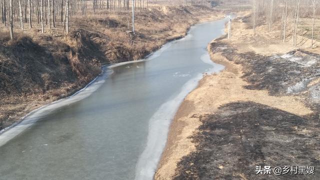 什么是三农，什么是三农企业（究竟什么是三农）