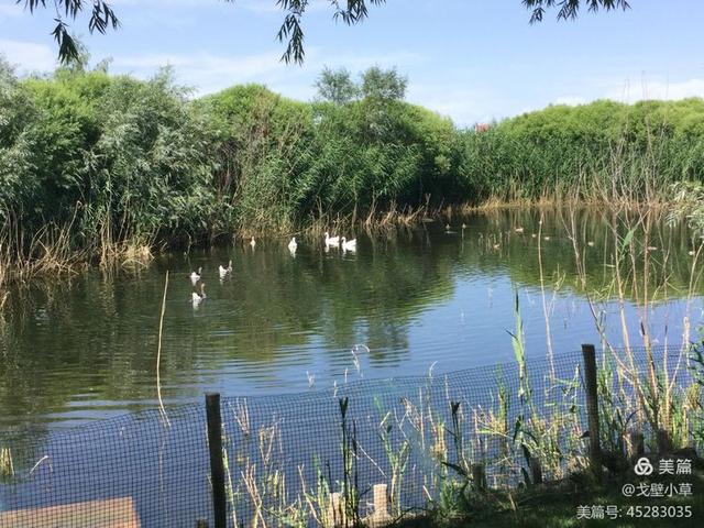 西海在哪里 西海位于哪个地方，西海在哪里（中国最大的内陆淡水吞吐湖）