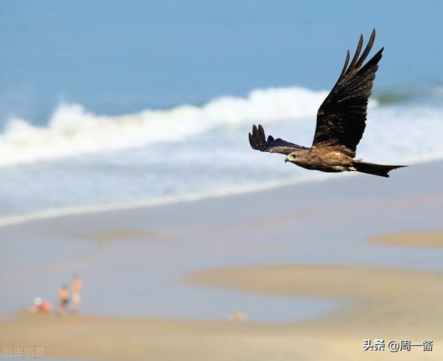 梦男是什么意思（心理学：梦的起因和意义）