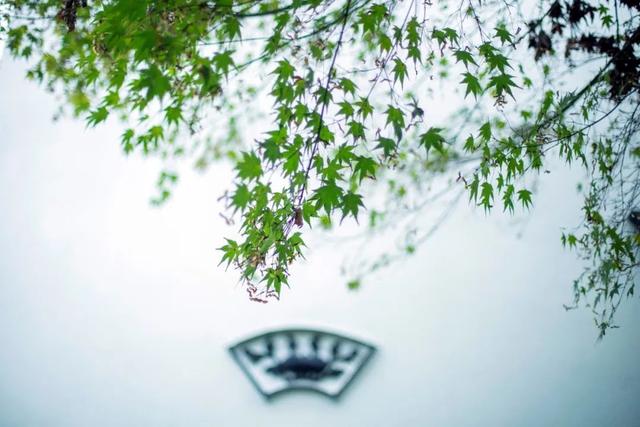 隐居田园的诗句，隐居田园的诗人（一起领略古人笔下的诗酒田园）