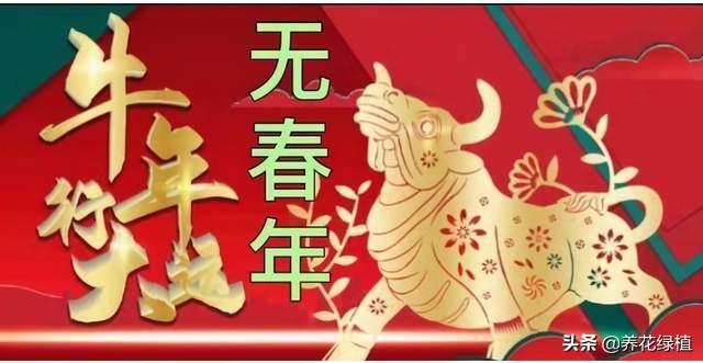 明年什么年属什么生肖，明年是什么生肖（2021年是辛丑年）