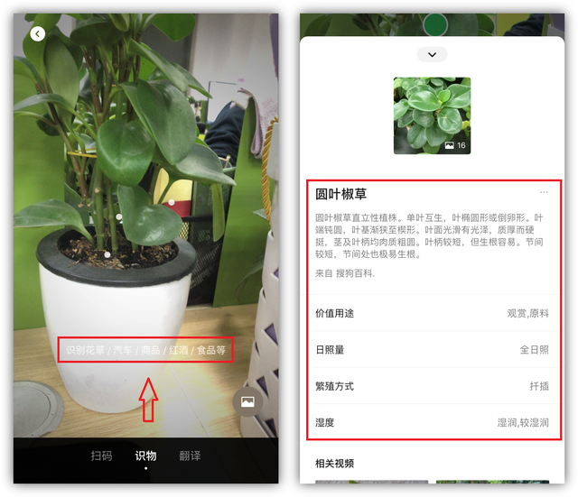 微信清空后找不到群聊，微信清理后（原来微信右上角的“+”号）