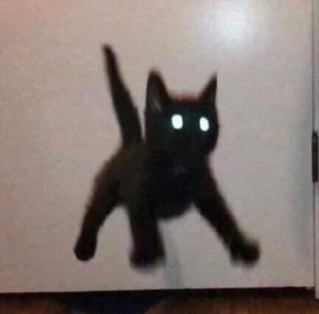 你别那么喜欢我，2020最新版微信头像沙雕可爱，你别客气尽管喜欢我（最新搞笑沙雕表情包可爱头像）